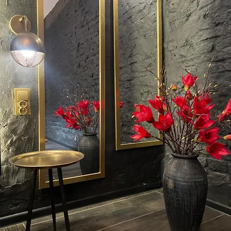 Apartament Darkhouse Karmin